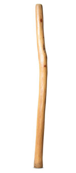 Medium Size Natural Finish Didgeridoo (TW1533)
